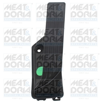 Accelerator Pedal Unit